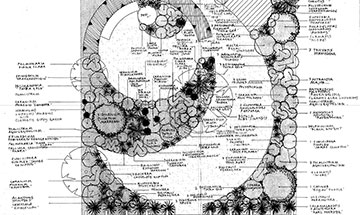 Planting plan